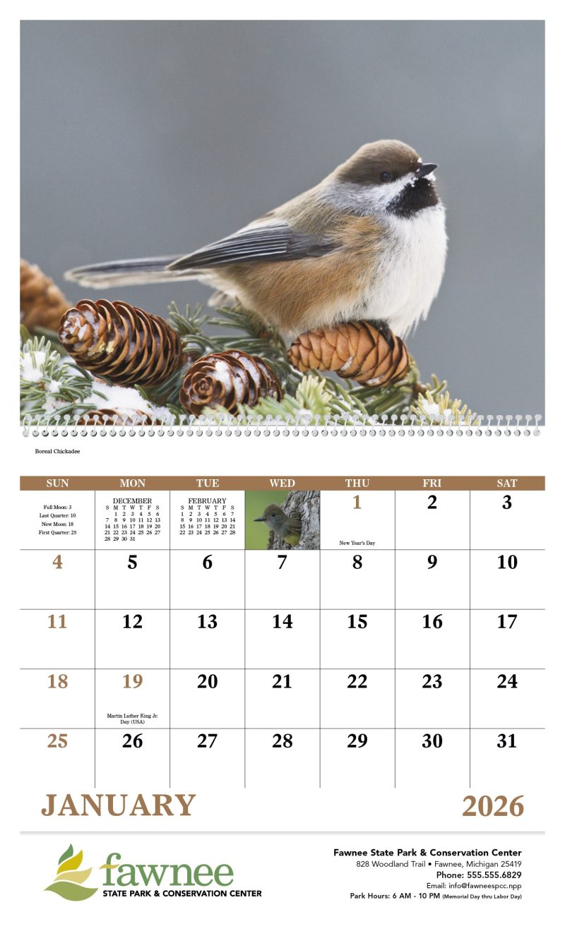 Custom Good Value™ Birds of North America - Spiral Calendar - 3