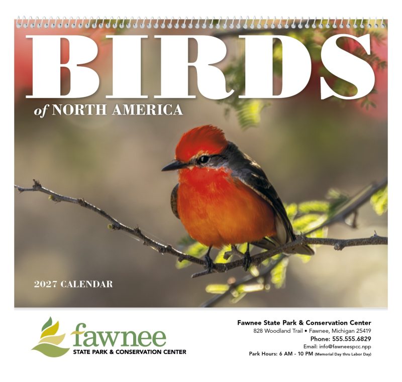 Custom Good Value™ Birds of North America - Spiral Calendar - 5