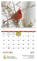 Custom Good Value™ Birds of North America - Spiral Calendar - 6