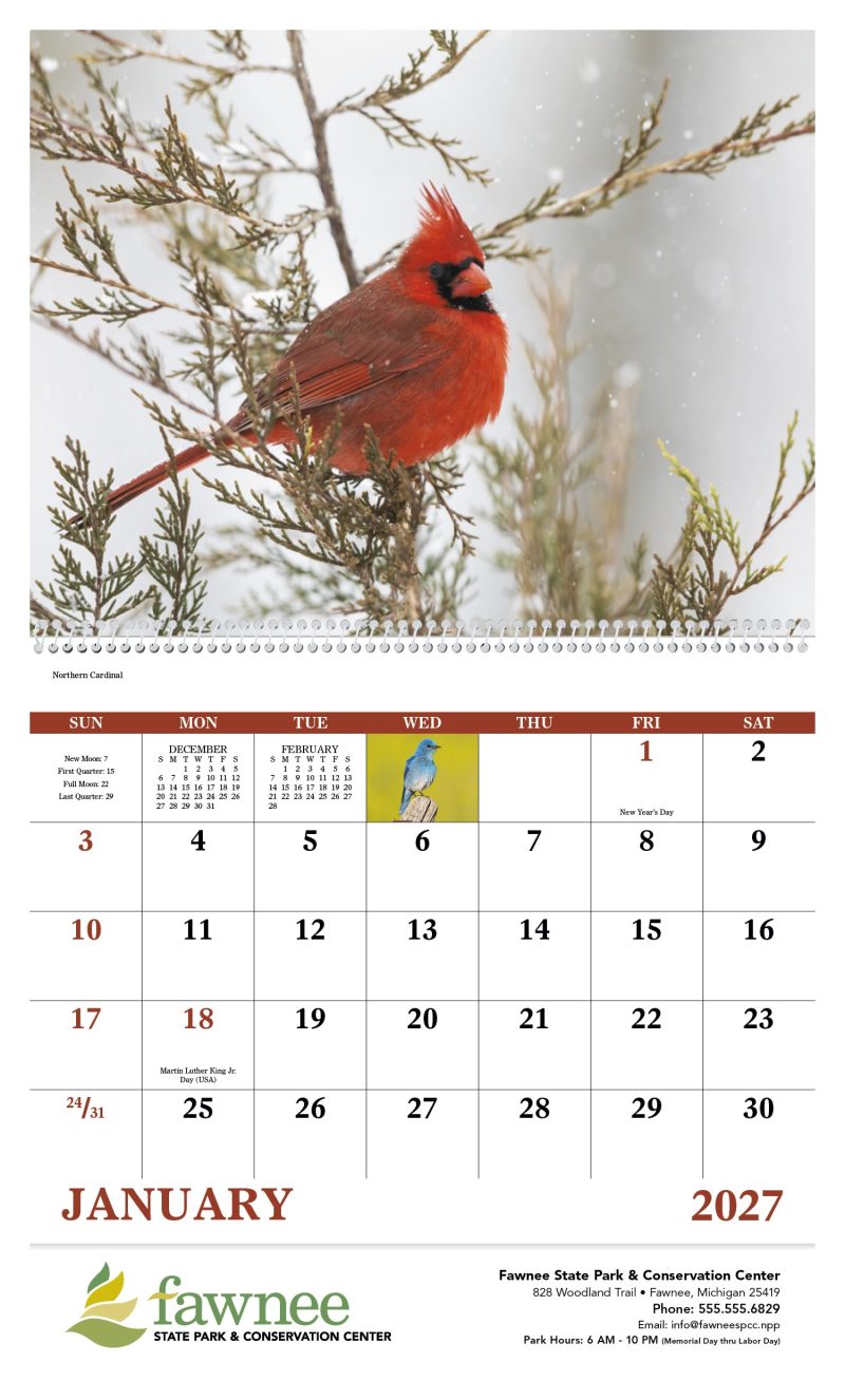 Custom Good Value™ Birds of North America - Spiral Calendar - 6