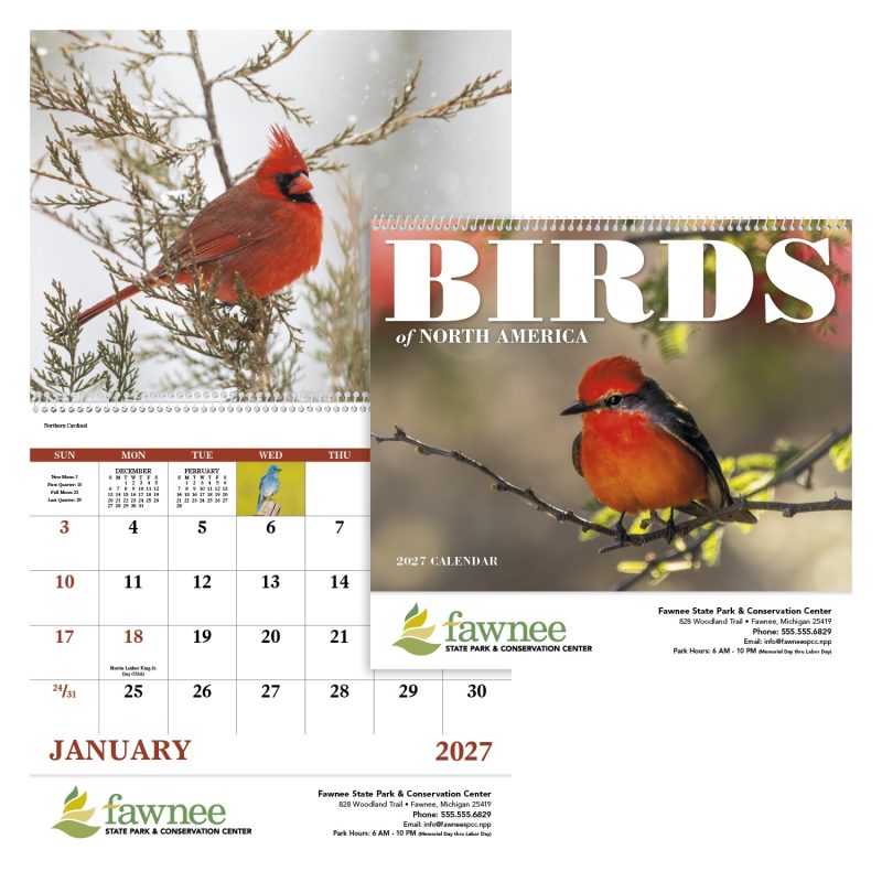 Custom Good Value™ Birds of North America - Spiral Calendar