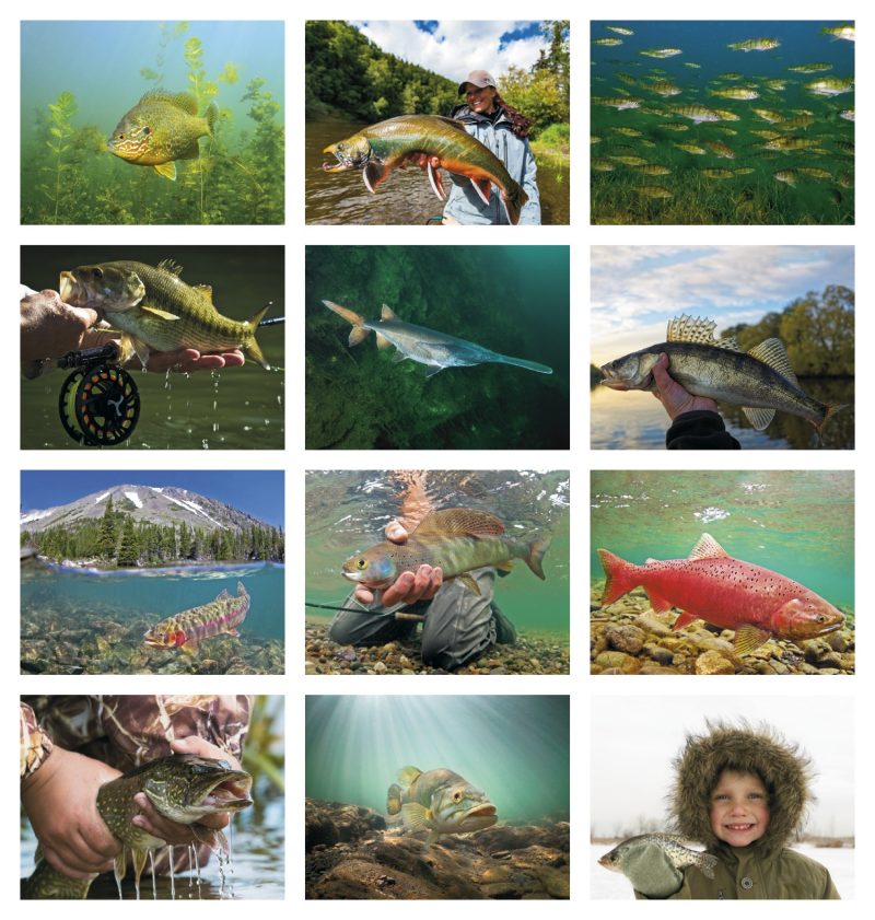 Custom Good Value™ Fishing - Spiral Calendar - 4
