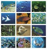 Custom Good Value™ Ocean Glory - Spiral Calendar - 4