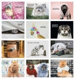 Custom Good Value™ Pets with Attitude - Stapled Calendar - 4