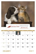 Custom Good Value™ Puppies & Kittens - Window Calendar - 6