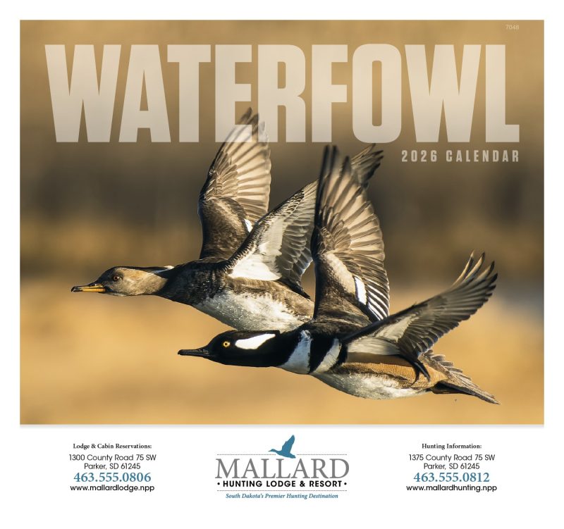 Custom Good Value™ Waterfowl - Stapled Calendar - 2