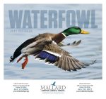 Custom Good Value™ Waterfowl - Stapled Calendar - 5