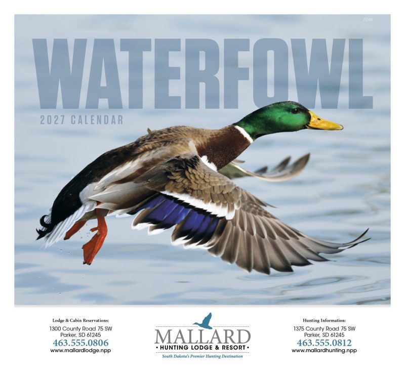 Custom Good Value™ Waterfowl - Stapled Calendar - 5