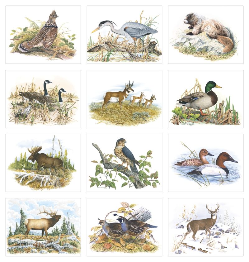 Custom Good Value™ Wildlife Trek - Stapled Calendar - 4