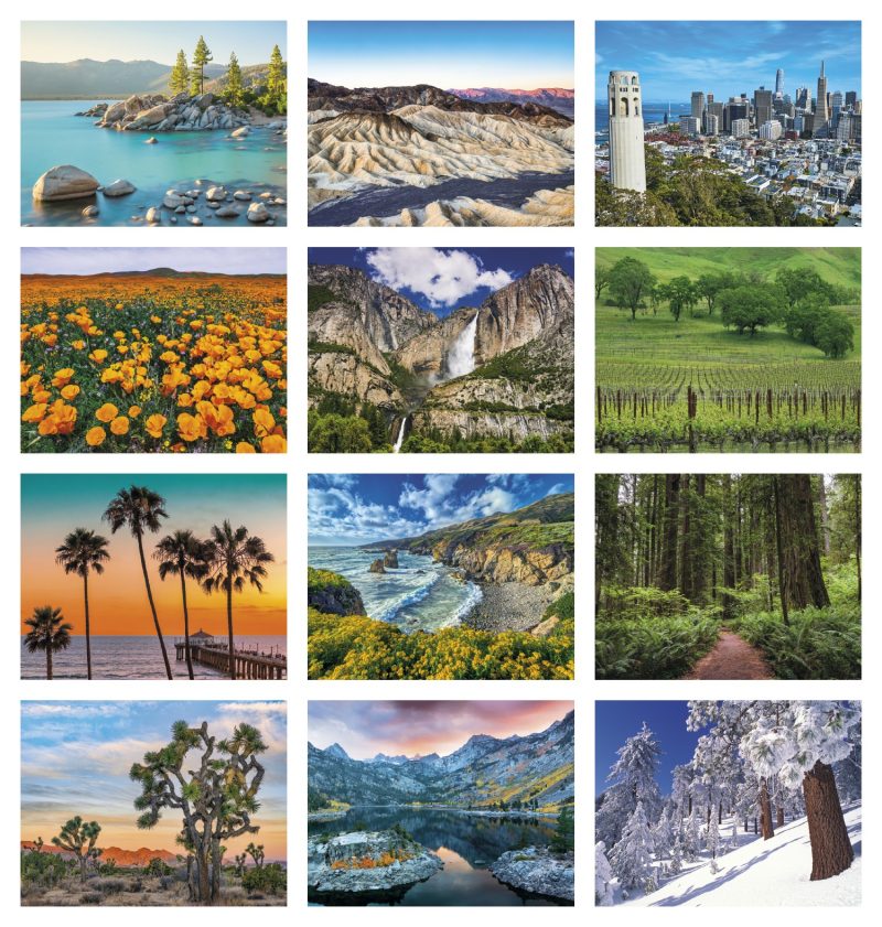 Custom HotLine® Products California Appointment Calendar - Stapled - 4
