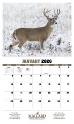 Custom HotLine® Products Trophy Whitetail Deer Appointment Calendar - Stapled - 3