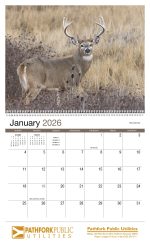 Custom HotLine® Products Wildlife Appointment Calendar - Spiral - 3