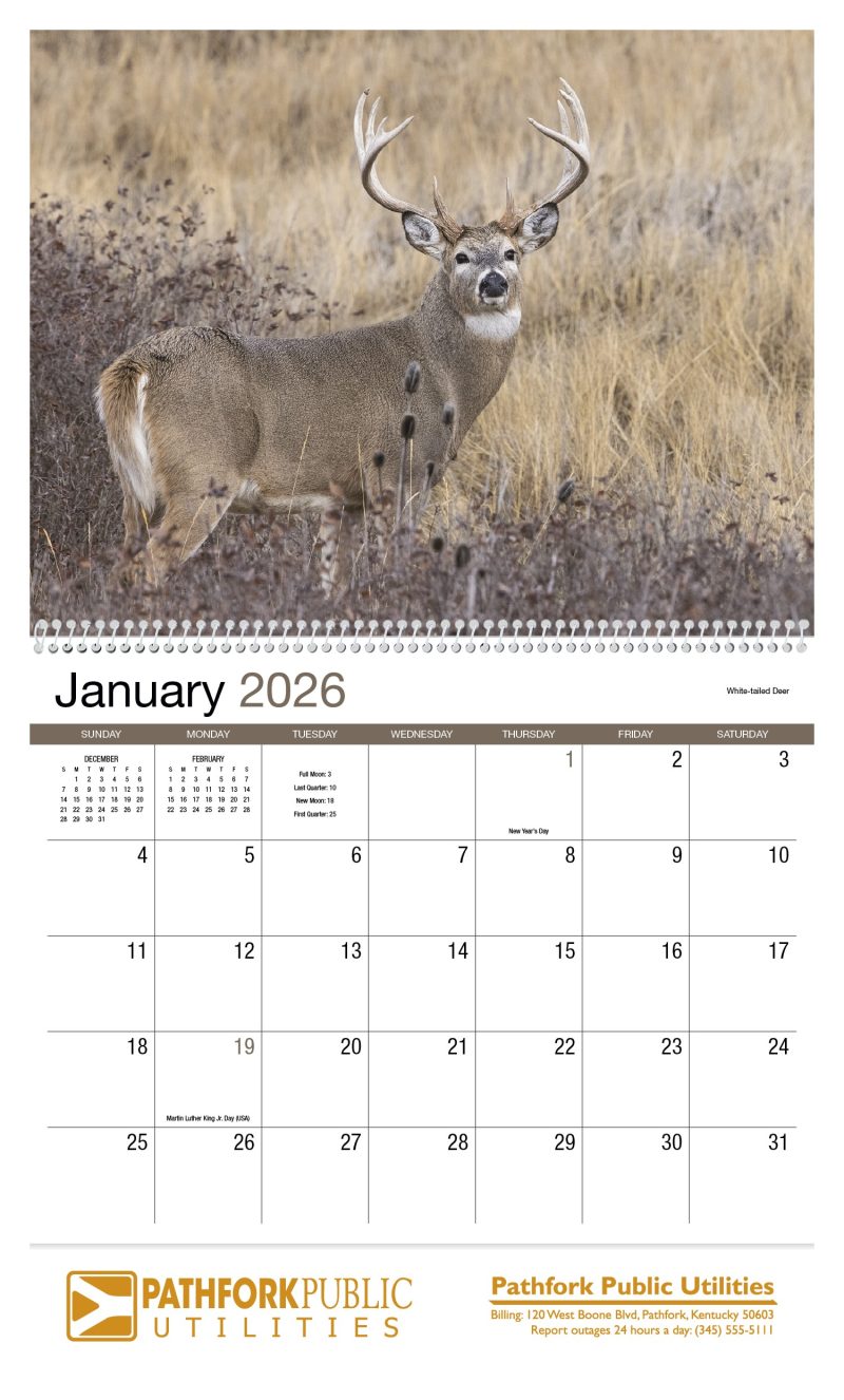 Custom HotLine® Products Wildlife Appointment Calendar - Spiral - 3