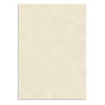 Custom Linen Presentation Folder - Standard - 3