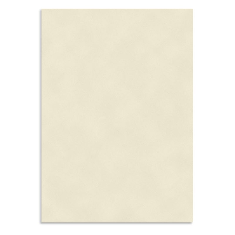 Custom Linen Presentation Folder - Standard - 3
