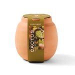 Custom Modern Sprout Modern Terracotta Grow Kit Cactus - Terracotta - 4