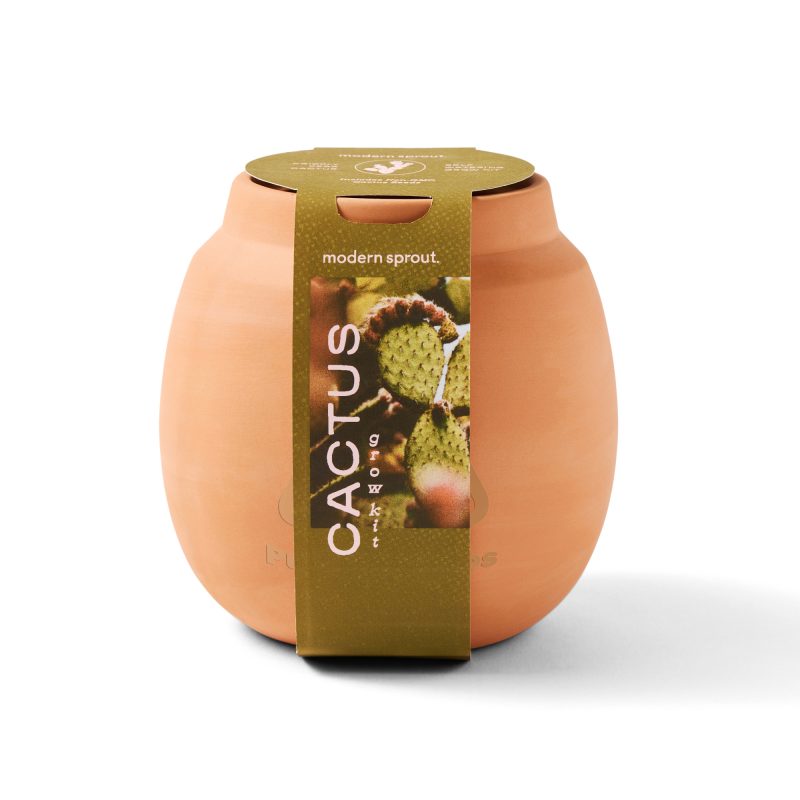 Custom Modern Sprout Modern Terracotta Grow Kit Cactus - Terracotta - 4