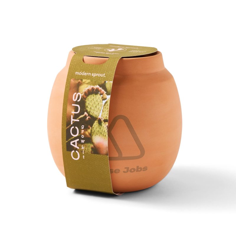 Custom Modern Sprout Modern Terracotta Grow Kit Cactus - Terracotta - 5