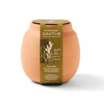 Custom Modern Sprout Modern Terracotta Grow Kit Cactus - Terracotta - 6