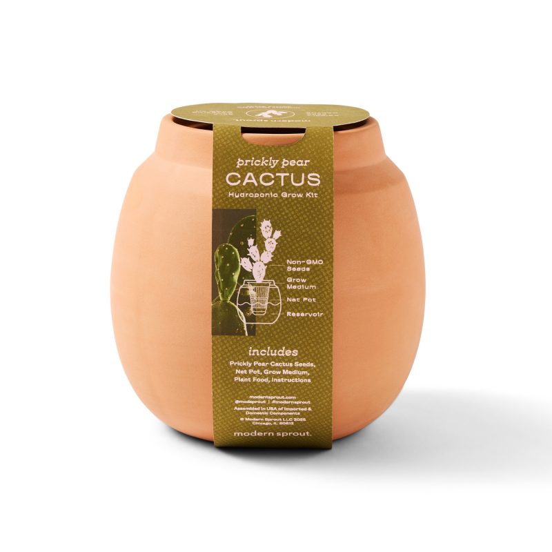 Custom Modern Sprout Modern Terracotta Grow Kit Cactus - Terracotta - 6