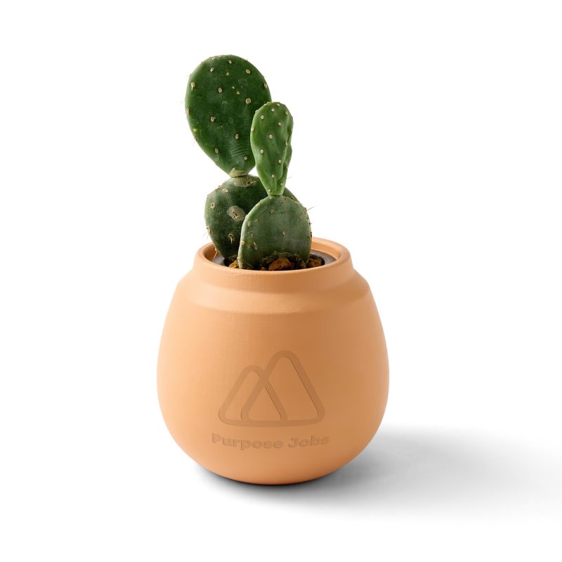 Modern-Sprout-Modern-Terracotta-Grow-Kit-Cactus-Terracotta-103088-236 Custom Modern Sprout Modern Terracotta Grow Kit Cactus - Terracotta
