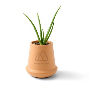 Custom Modern Sprout® Modern Terracotta Grow Kit Aloe - Terracotta