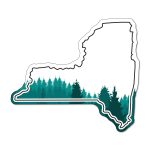 Custom New York NoteKeeper™ Magnet 20 Mil - 4