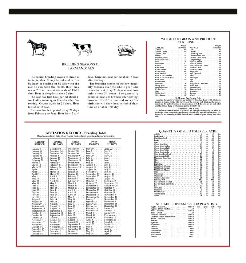 Custom Skinner & Kennedy™ Almanac Calendar - 2