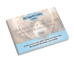 Custom Souvenir® Sticky Note™ 4" x 3" Pad