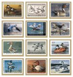 Custom Triumph® Calendars Duck Stamps Calendar - 4