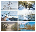 Custom Triumph® Calendars North American Waterfowl Calendar - 1