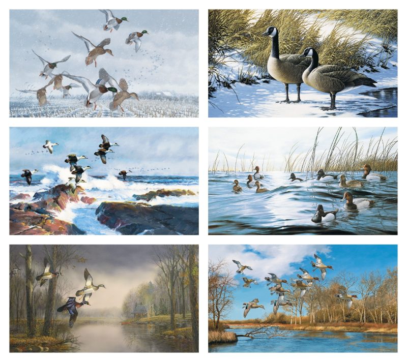 Custom Triumph® Calendars North American Waterfowl Calendar - 1