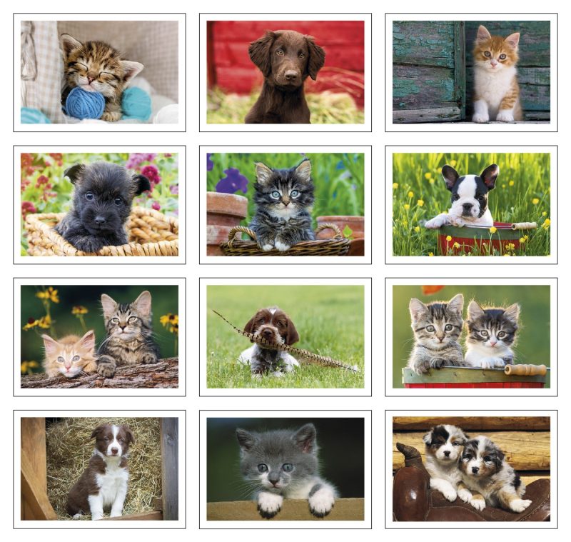 Custom Triumph® Calendars Puppies & Kittens Pocket Calendar - 4