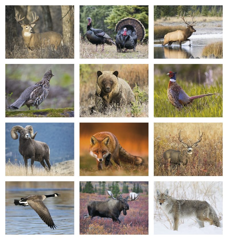 Custom Triumph® Calendars Sportsman Calendar - 4