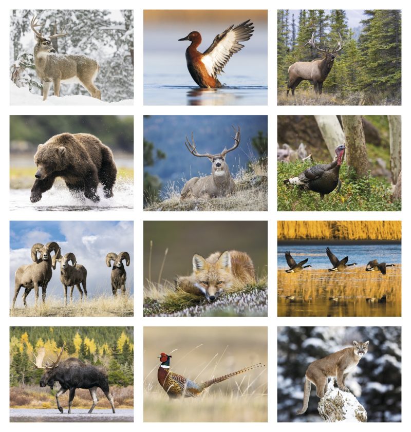 Custom Triumph® Calendars Sportsman Calendar - 7