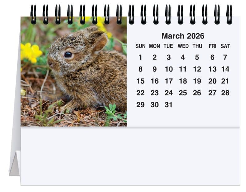 Custom Fauna Tent Desk Calendar (5 13/16"x 4 ½") - 1