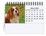 Custom Furever Friends Tent Desk Calendar (5 13/16"x 4 ½") - 1