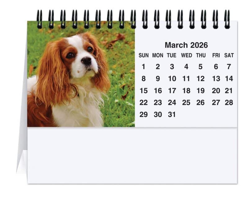 Custom Furever Friends Tent Desk Calendar (5 13/16"x 4 ½") - 1