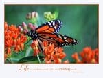 Custom Motivations Monthly Wall Calendar w/Staple Binding (10 5/8"x 18 ¼") - 6