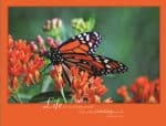 Custom Motivations Tent Desk Calendar (5 13/16"x 4 ½") - 6