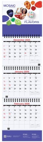 Custom Small 3 Months at a Glance Calendar w/Apron (6"x 20 ¾")