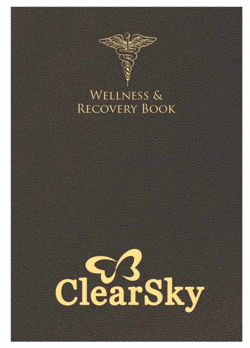 Custom Wellness and Recovery Book 7" x 10" - 3
