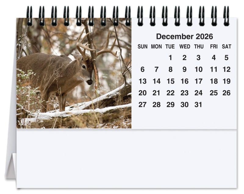 Custom Wildlife Tent Desk Calendar (5 13/16"x 4 ½") - 1