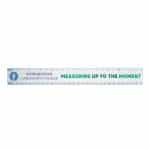 Custom 12" Flexi Ruler