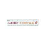 Custom 6" Flexi Ruler