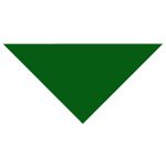 Custom Domestic Pet Bandanna - 1