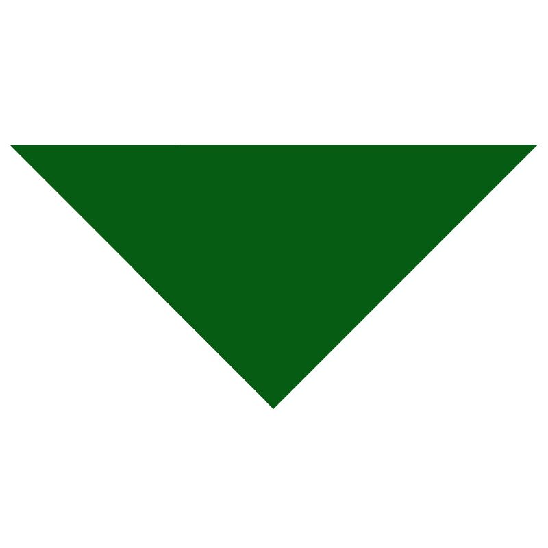 Custom Domestic Pet Bandanna - 1