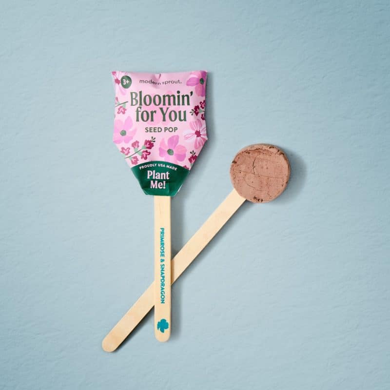 Custom Modern Sprout Flower Pop Trio Pouch - Natural - 6