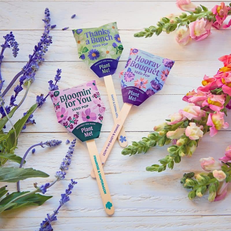Custom Modern Sprout Flower Seed Pop - Thanks a Bunch - 5