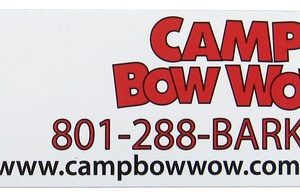 Custom Outdoor Rectangle Shaped Magnet